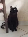Hermione 