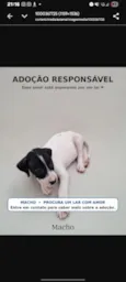 sem nome ainda 