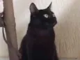 Hermione 