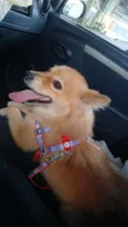 Lucky