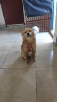 Lucky