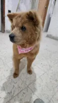 Mel
