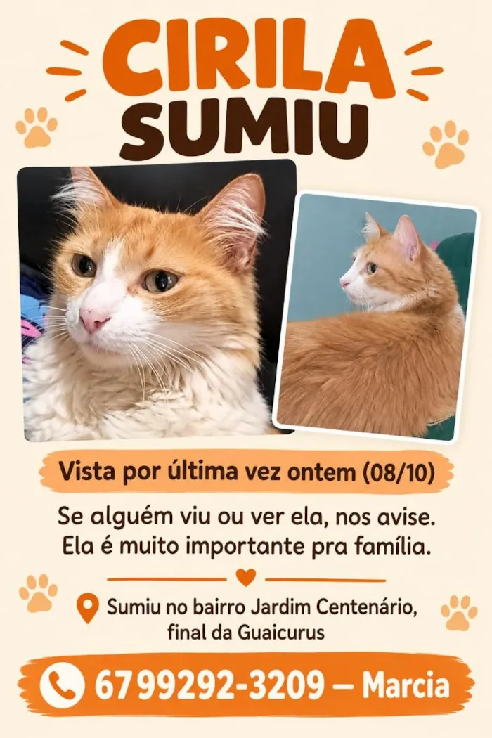 Gato raça SRD-ViraLata idade 6 ou mais anos nome Cirila