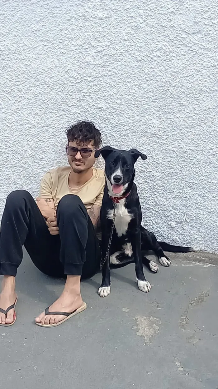 Cachorro raça SRD-ViraLata idade 1 ano nome Atlas