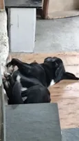 Atlas
