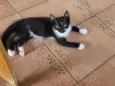 Daniel