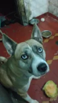 Pandora 