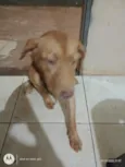 Lua