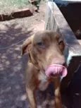 Lua