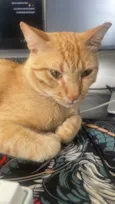 Bartolomeu