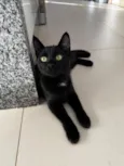 Sophia