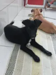 Ainda sem Nome