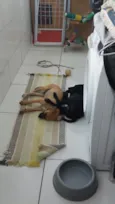 Ainda sem Nome
