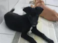 Ainda sem Nome
