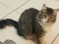 Mia