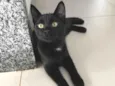 Sophia