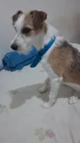 Simba