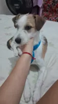 Simba