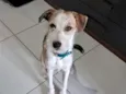 Simba