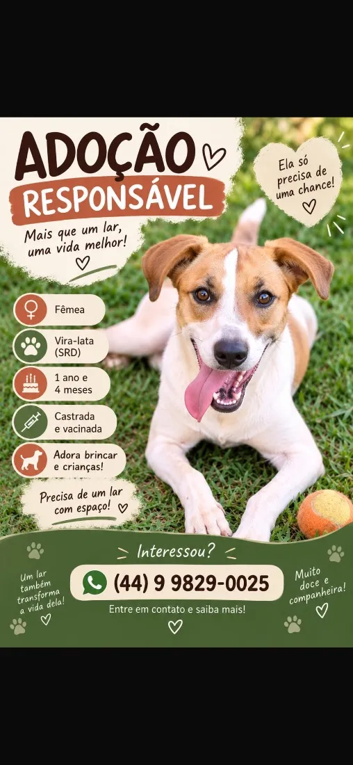 Cachorro raça SRD-ViraLata idade 2 anos nome Nina