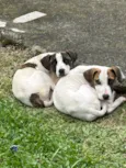 Atena e Thor 