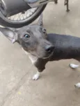 Kiara