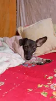 Kiara