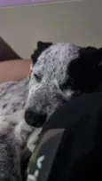 Lua