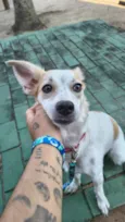 Rita Lina