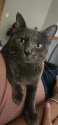Zé