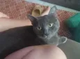 Zé