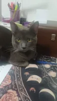 Zé