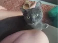 Zé