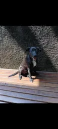 Teka