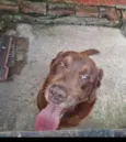Tayson
