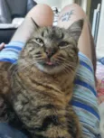 Kira