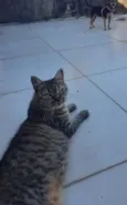 Kira