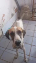 tina