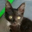 Billy