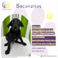Baconzitos