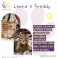 Leona e Freddy