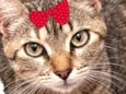 Tina