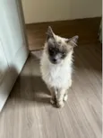 Roberto 