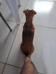 lua 