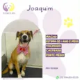Joaquim