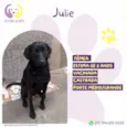 Julie