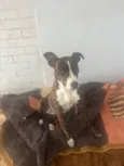 Não sabemos o nome 