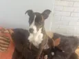 Não sabemos o nome 
