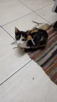 Mel