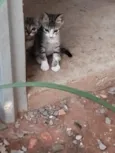 Docinho e lindinha ??